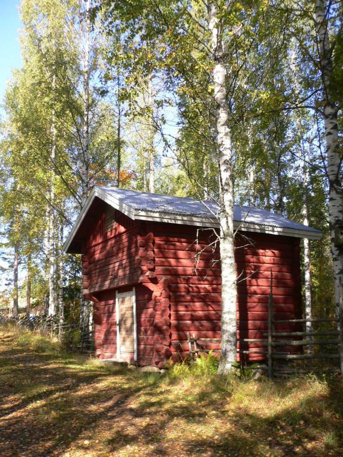 Vanha-Paelsilae Lakeside Farm Kuhmoinen Dış mekan fotoğraf